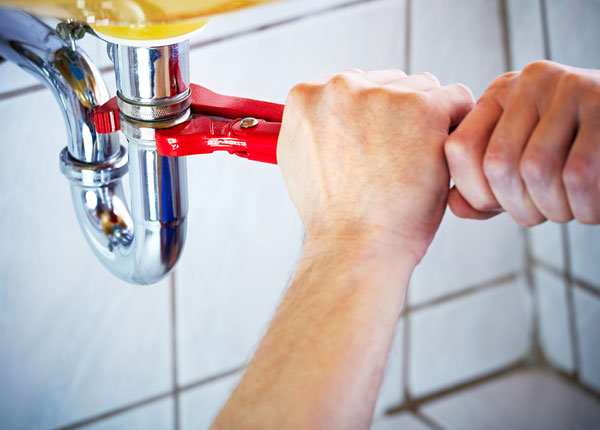 About Luna Pier Plumbers
